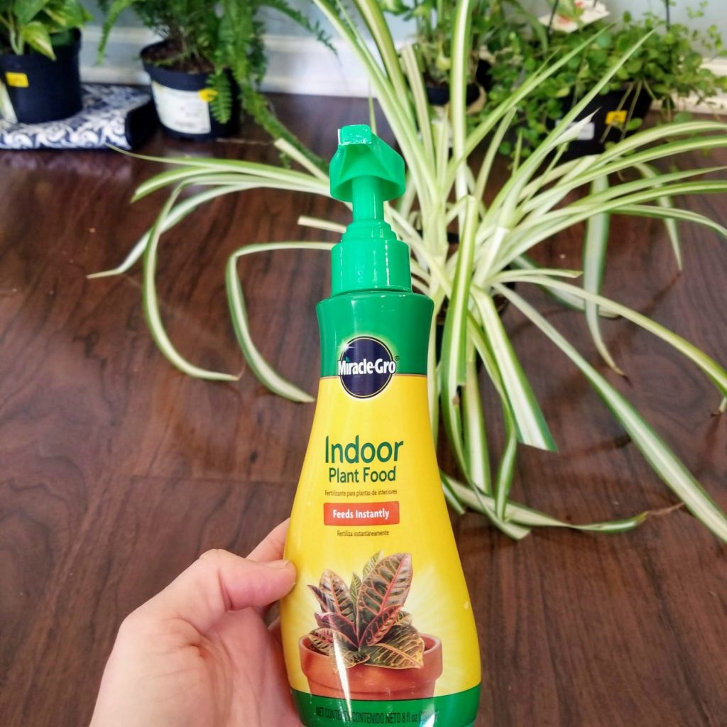 recommended plant food, indoor plant fertilizer, easy to grow houseplants