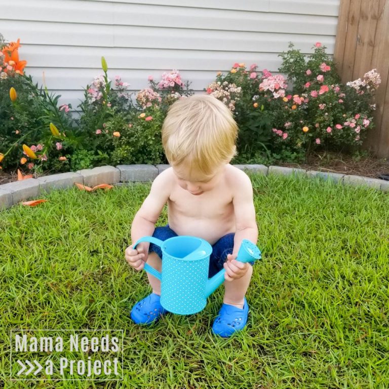 Gardening with a Curious Toddler: 6 Tips from a Plant Loving Mama