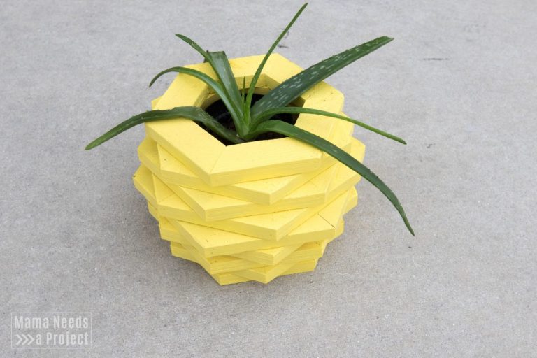 DIY Pineapple Planter Tutorial