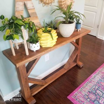 DIY skinny console table with plants