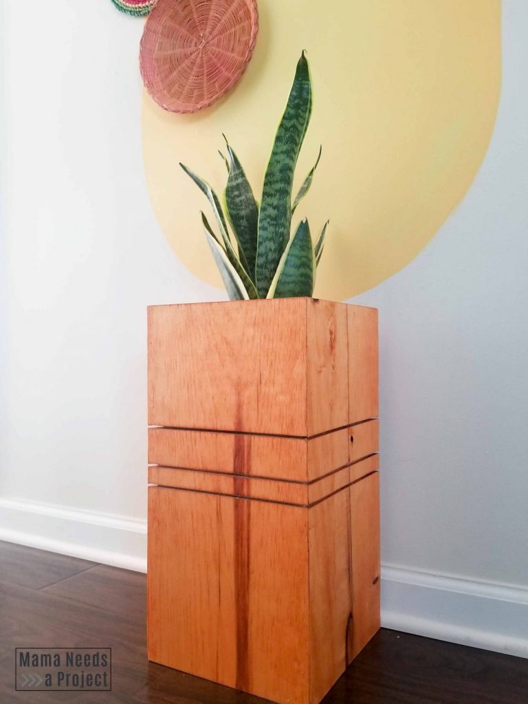 completed diy modern wood planter with snake plant