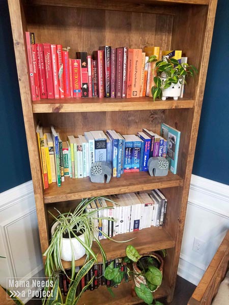 rainbow bookshelf organization