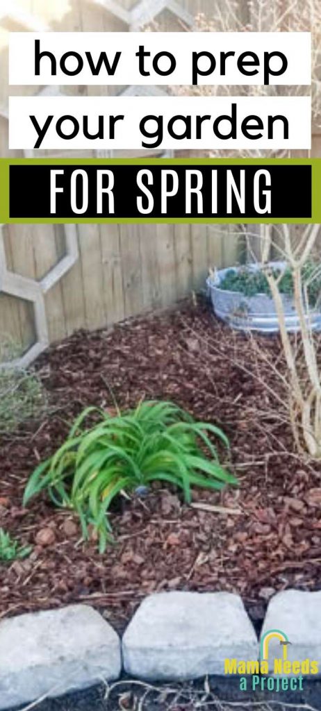 how to prepare your garden for spring