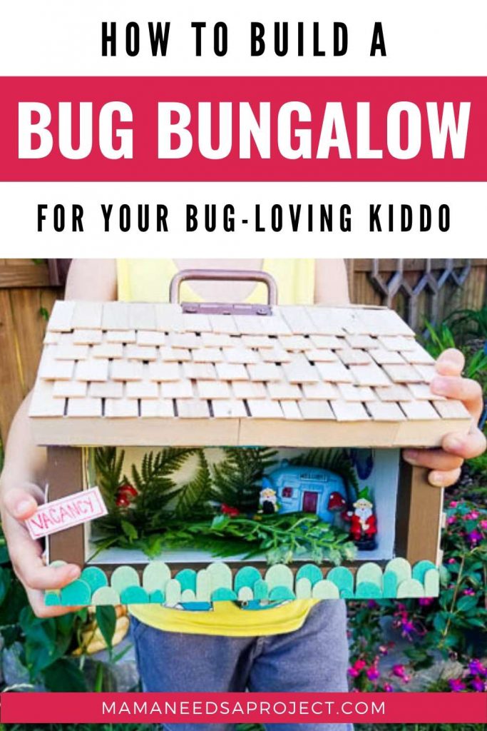 how to  build a bug bungalow for your bug loving kiddo
