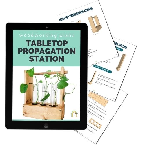 tabletop propagation station