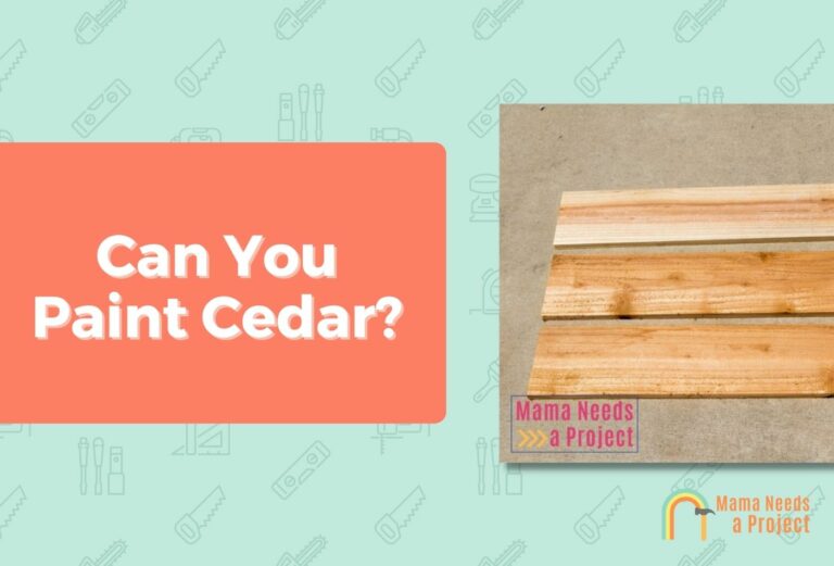 Can You Paint Cedar? What You Need to Know (2024)