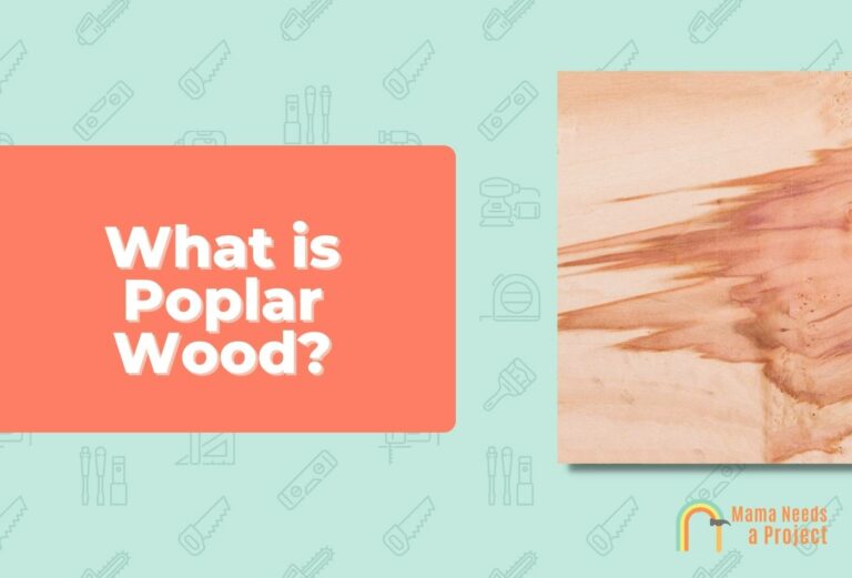 What is Poplar Wood