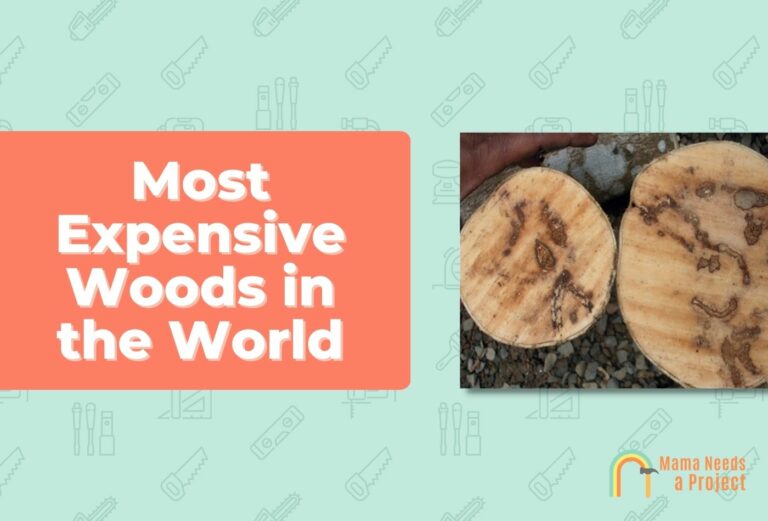 Most Expensive Wood (12 Rarest Woods in the World)