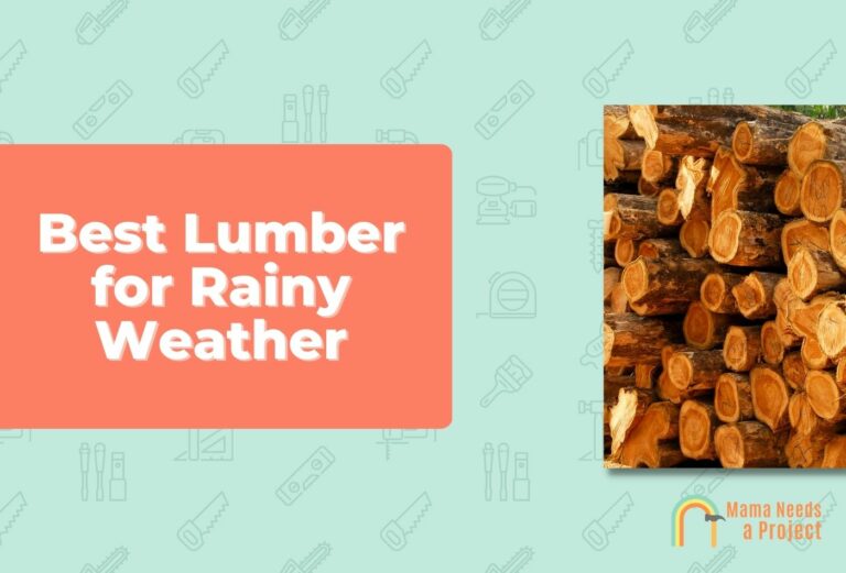What Kind of Lumber is Good for Rainy Weather? (9 Best Woods)