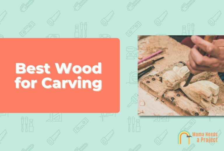9 Best Woods for Carving (for Beginners & Pros)