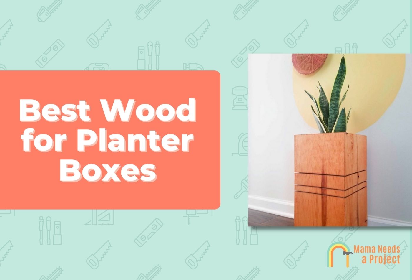 Best Wood for Planter Box