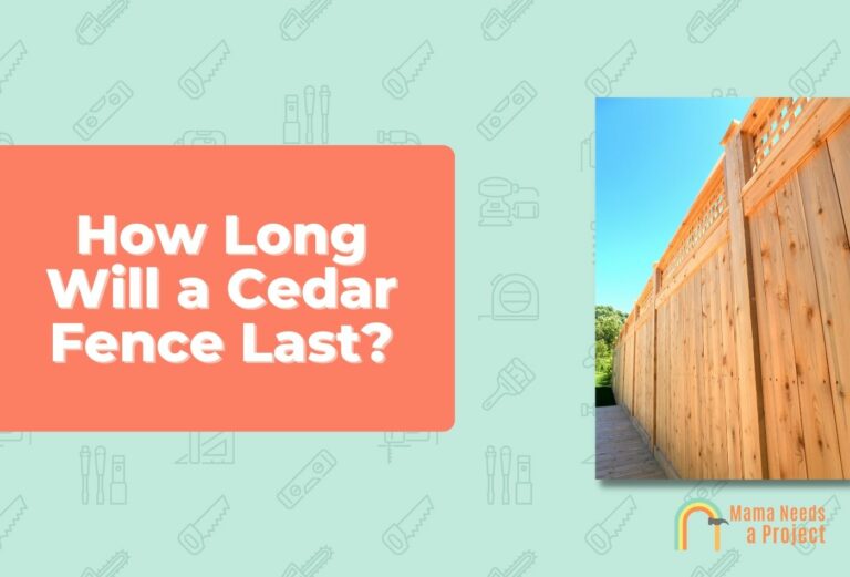 How Long Will a Cedar Fence Last? (Quick Answer!)