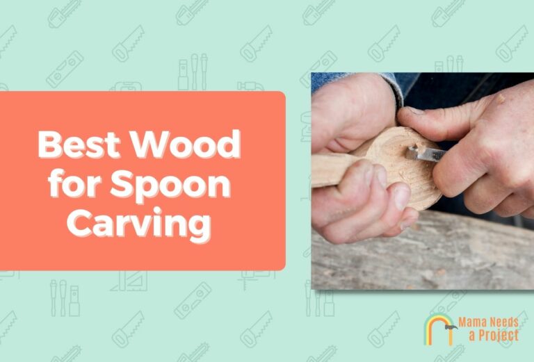 7 Best Woods for Spoon Carving (& Ones to Avoid!)