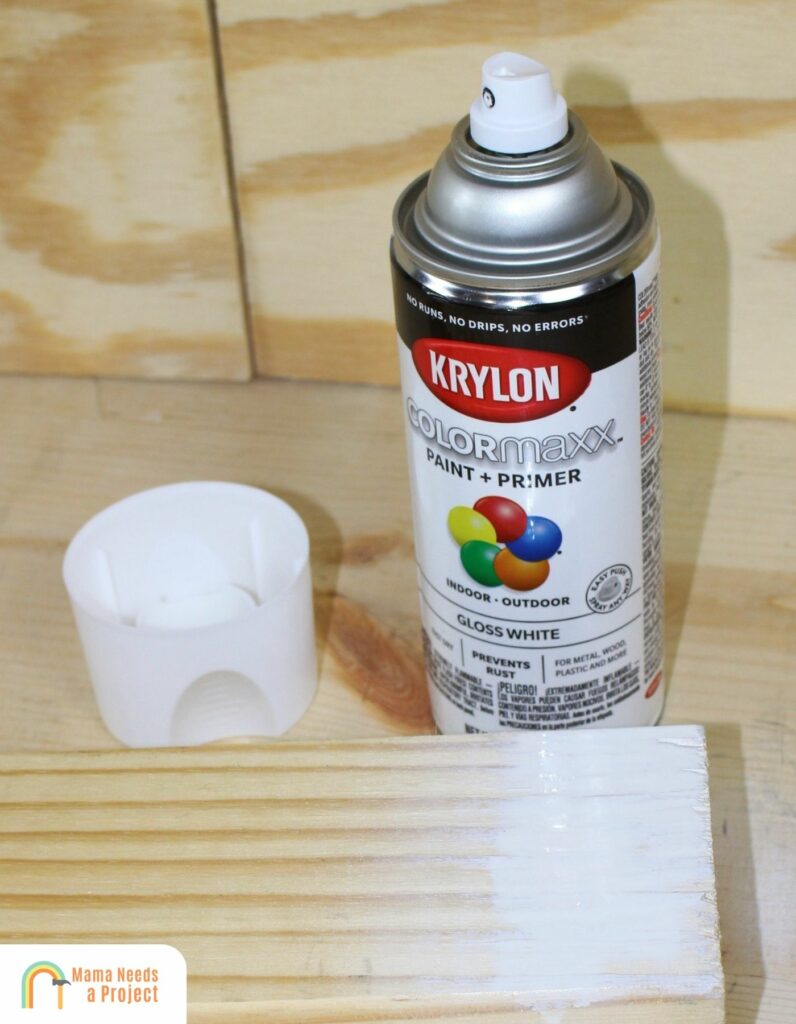 Krylon ColorMaxx Spray Paint
