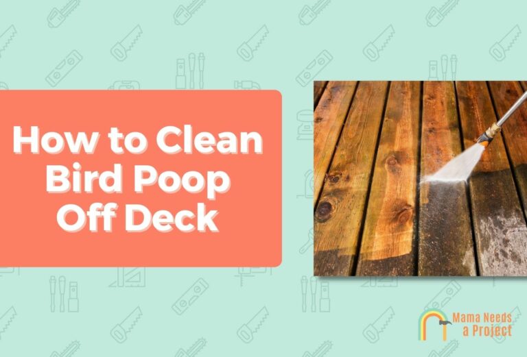 How to Clean Bird Poop Off Deck