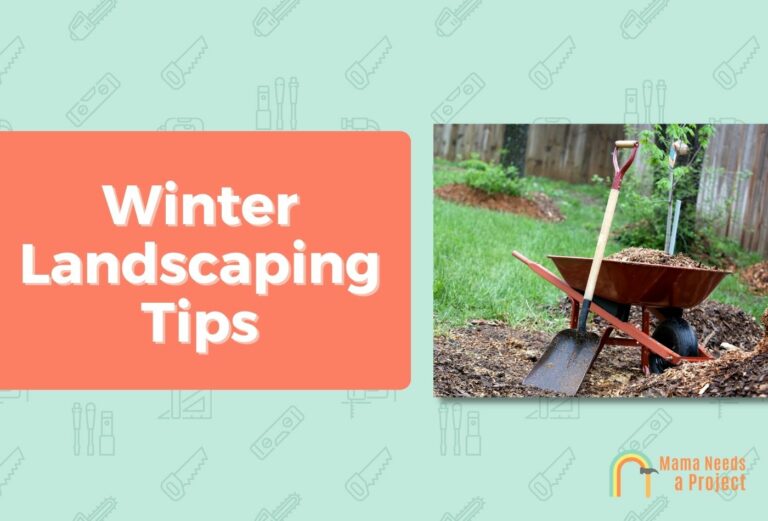 Winter Landscaping Tips (Protect Your Garden from Winter!)