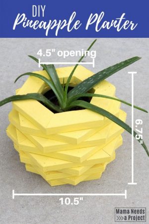 DIY pineapple planter woodworking tutorial measurements