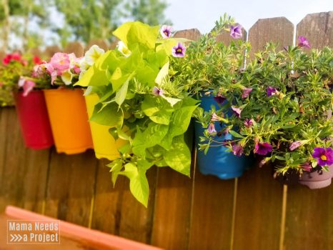 upcycled plastic flower pots painted like a rainbow and mounted to a fence with flowers blooming